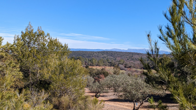 Le mas du soleil - © Mr Benati Le mas du soleil