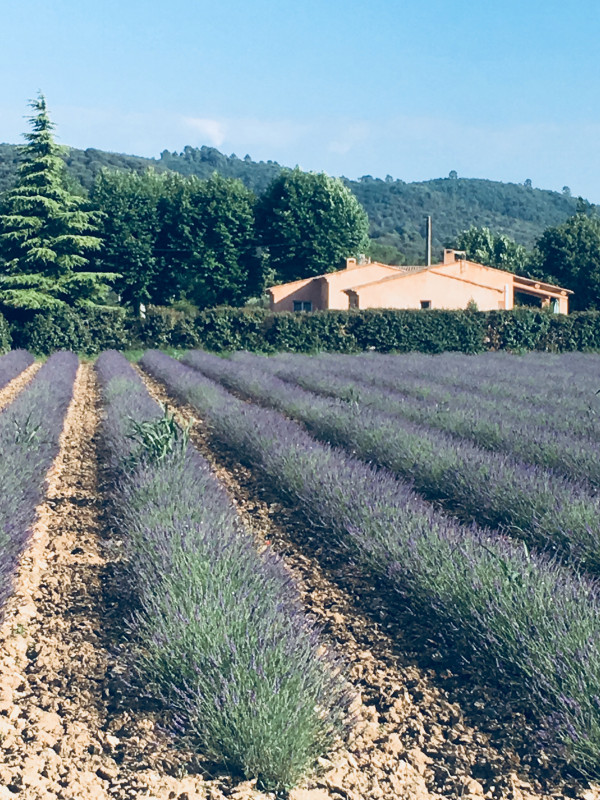 Neviere Jean-Pierre 2