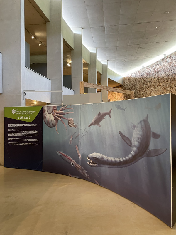 Exposition Temporaire 