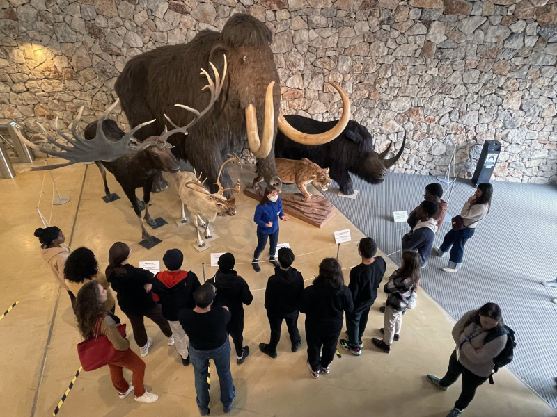 Laissez-vous guider au musée_Quinson