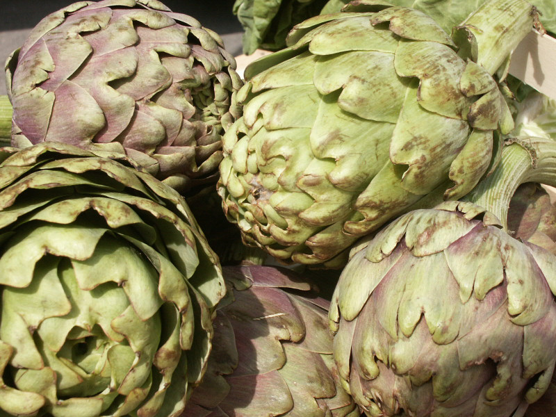 Artichauts Artichauts