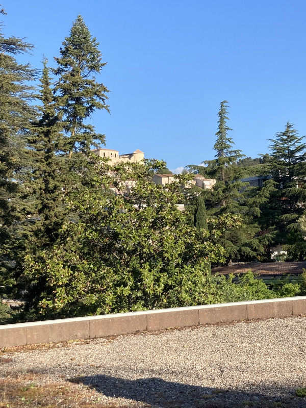 Vue sur le château