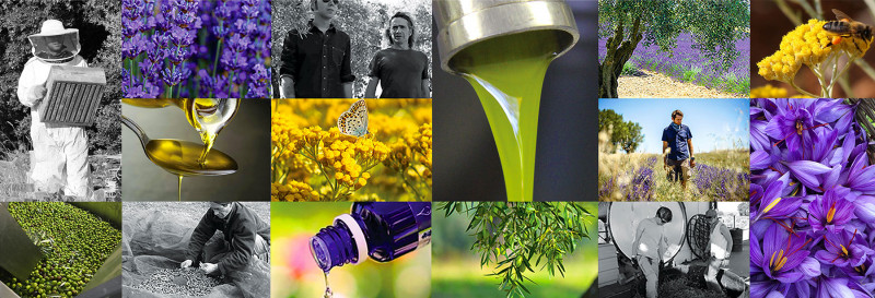 Terres de BONAVENTURE