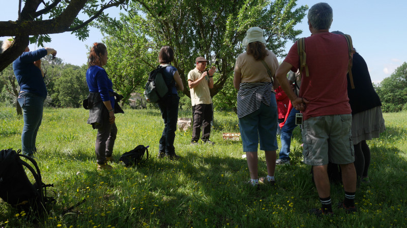 Sortie buissonnière 