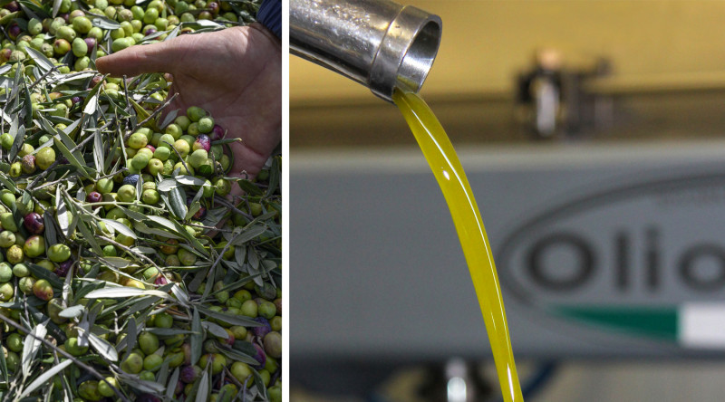 Moulin à l'huile d'olive