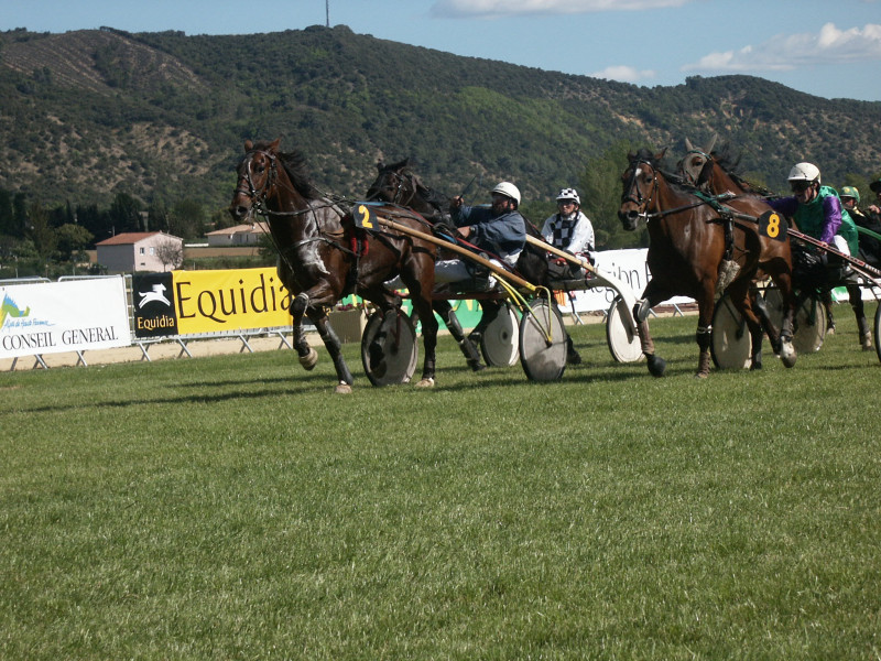 Courses hippiques