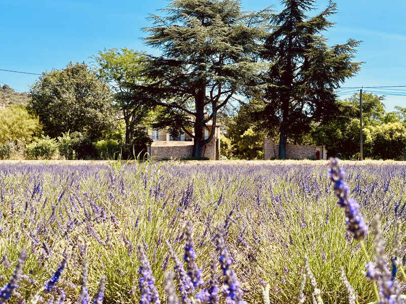 Mas les Cistes de Provence - © DR Appartement Symphonie** Mas les Cistes de Provence