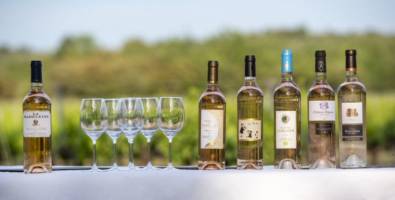 Rosé de Haute Provence - © FxEMERY_OTC DLVA Rosé de Haute Provence
