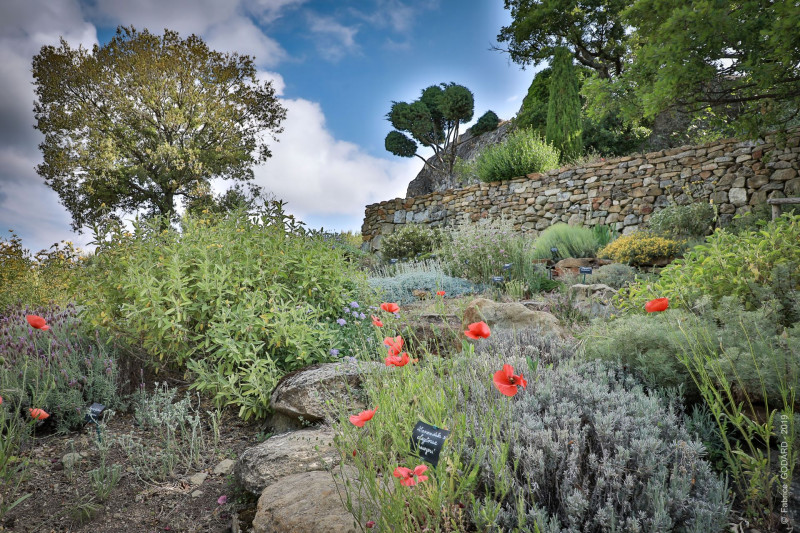 Visite guidée du Jardin de l'abbaye de Valsaintes_Simiane-la-Rotonde - © abbaye de Valsaintes Visite guidée du Jardin de l'abbaye de Valsaintes_Simiane-la-Rotonde