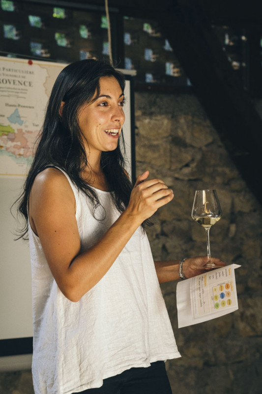 Découverte des vins de Haute-Provence