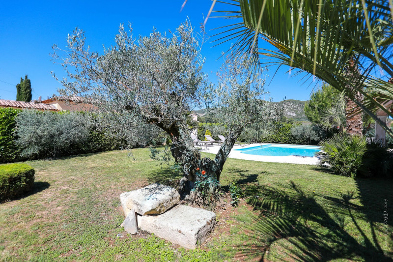 Jardin - © DR M.Fontana Jardin