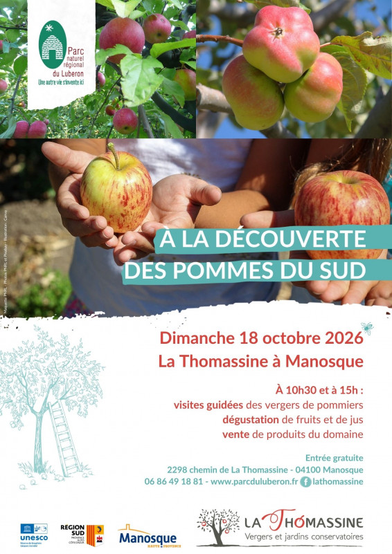 À la découverte des pommes du sud_Manosque