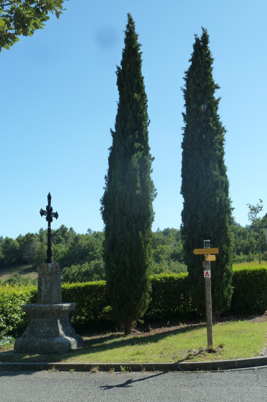 Histoires d'arbres