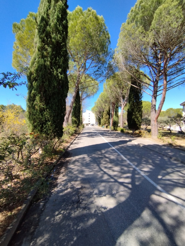 Allée