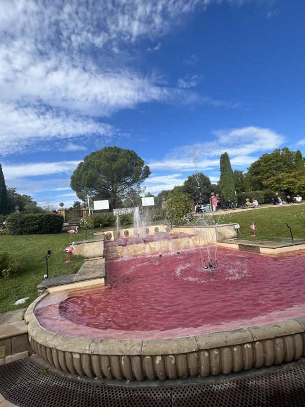 Octobre rose aux Thermes - © F. Vallier Octobre rose aux Thermes