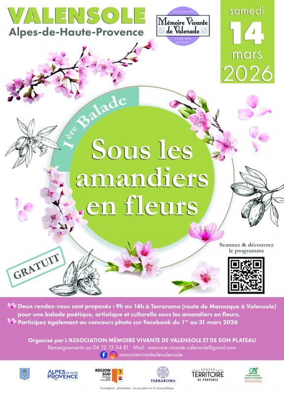 sous-les-amandiers-en-fleurs-494191